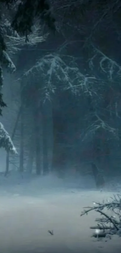 Mystical winter forest with snow-clad trees and mist.