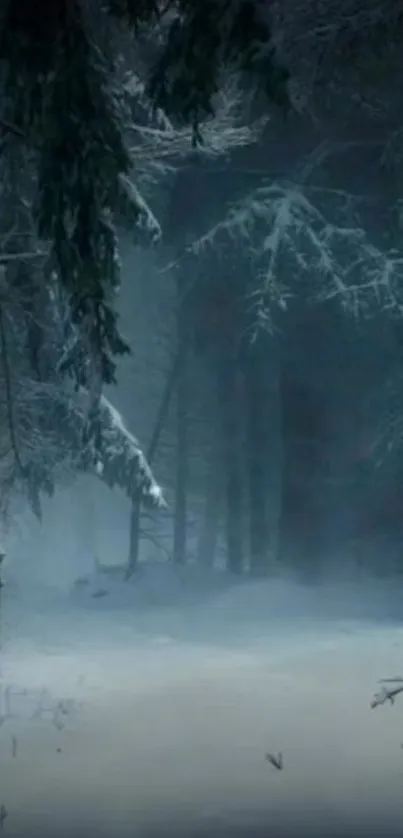 Serene winter forest with snowy trees and a misty ambiance.