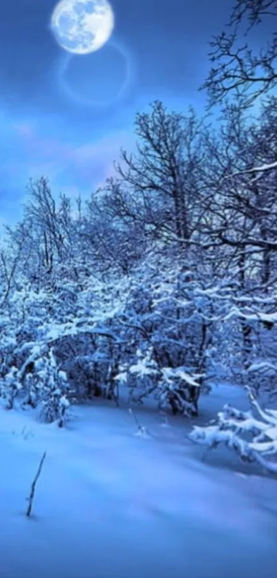 Mystical snowy forest under a bright full moonlight.