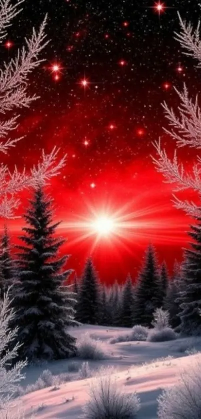Enchanted snowy forest under a vivid red sky with stars.