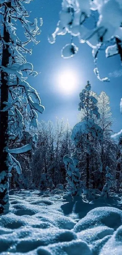 Snow-covered forest under moonlight, serene winter night scene.