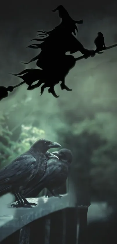 Witch silhouette flying over ravens in the forest.