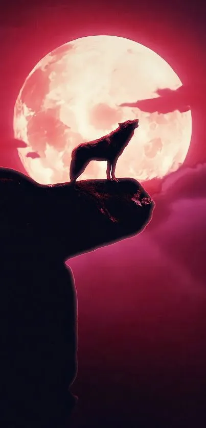 Wolf silhouette against red full moon with dark sky.