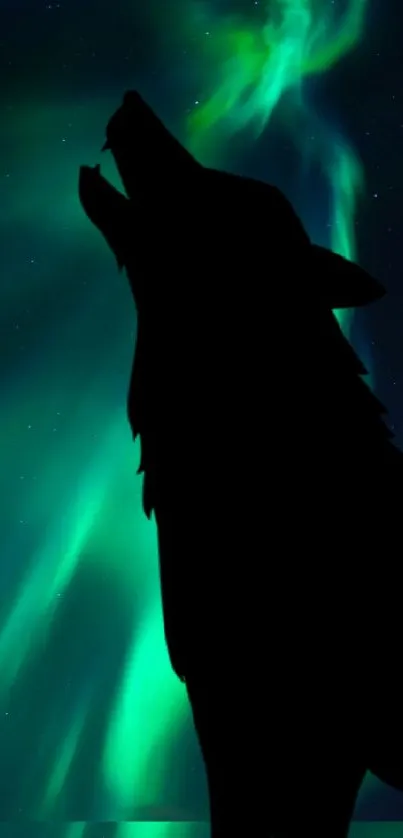 Silhouette of a wolf with Northern Lights in the background.