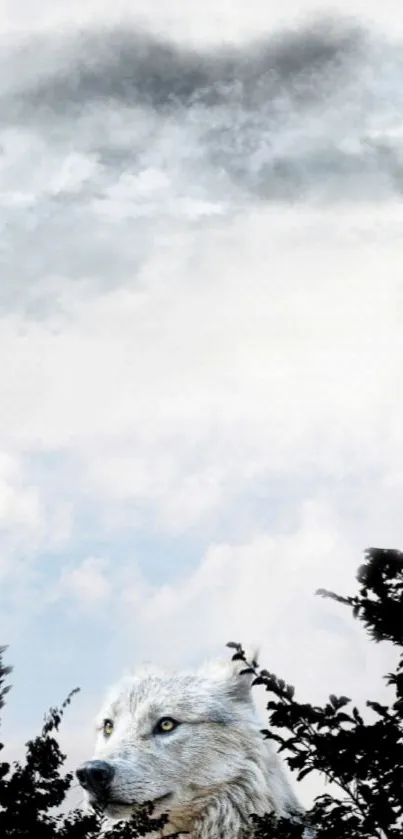 Wolf peering through clouds with serene sky backdrop.