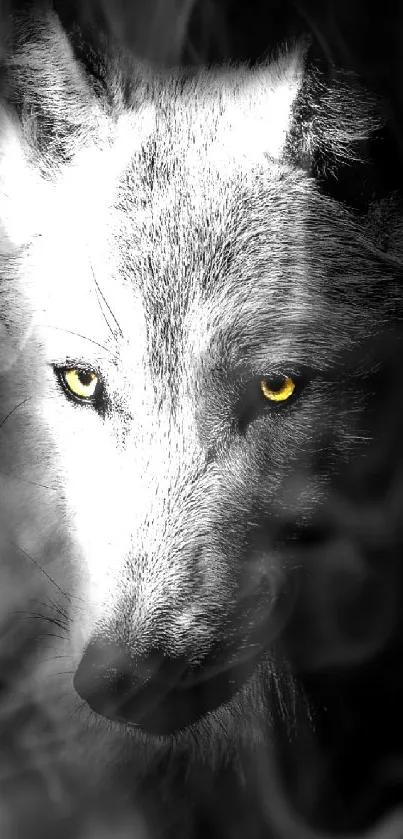 Mystical wolf in dark with striking eyes.