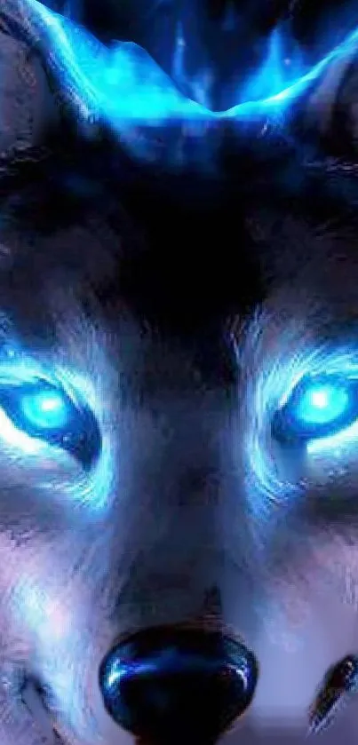 A mystical wolf with glowing blue eyes in a captivating mobile wallpaper design.