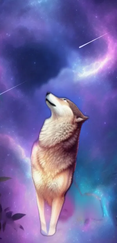 Wolf under a cosmic purple sky with stars and galaxy background.