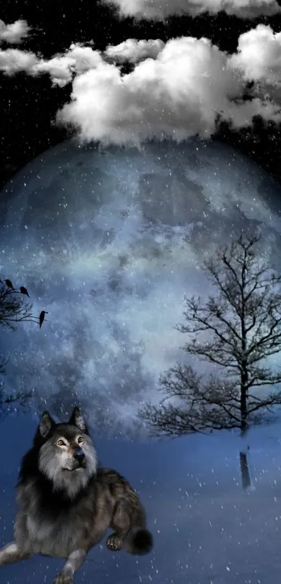 Mystical wolf beneath a moonlit night sky.