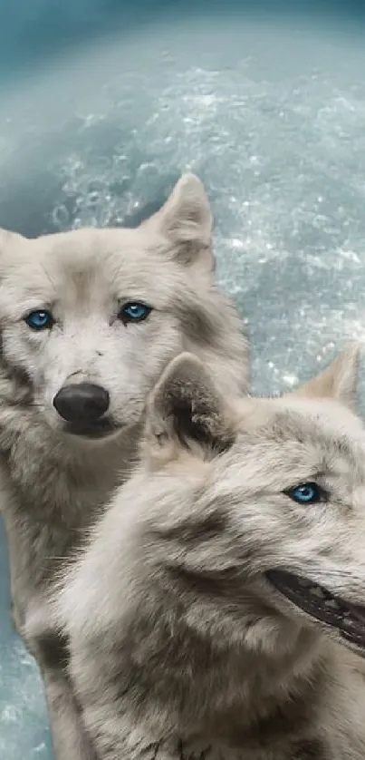 Two wolves under a glowing full moon with a mystical blue sky.