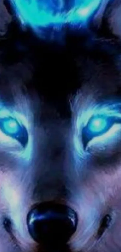 Mystical wolf with glowing blue eyes on a dark background, perfect for mobile wallpaper.