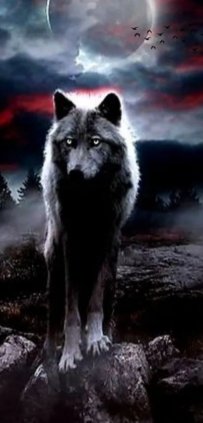 A wolf stands beneath a moonlit, cloudy night sky, creating a mystical atmosphere.