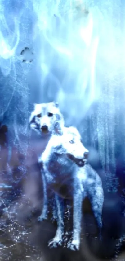 Mystical wolves in a blue forest setting wallpaper.