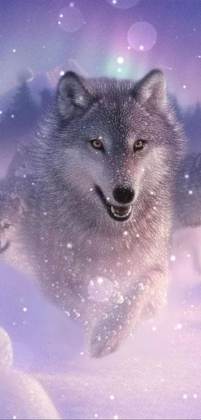 Wolf pack running through aurora-lit snow landscape.