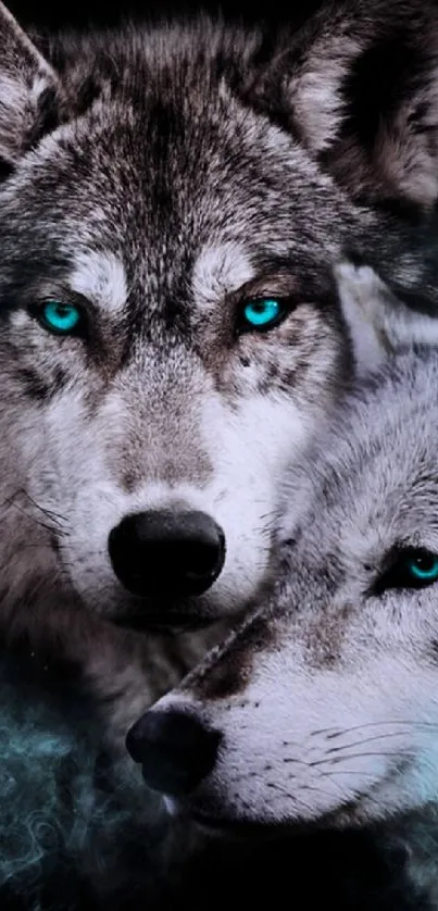 Mystical wolves with blue eyes on mobile wallpaper.