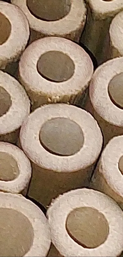 Close-up of bamboo tubes with a natural texture and earthy tones.