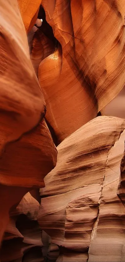 wood Live Wallpaper