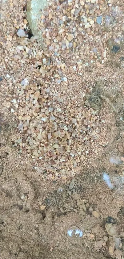 Closeup of a sandy brown grainy texture.