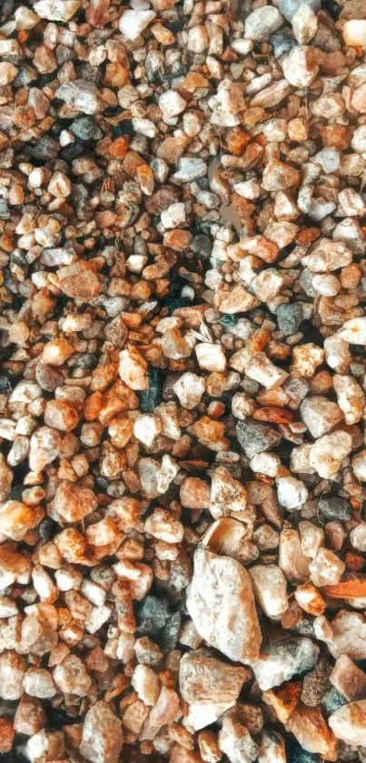 A close-up image of colorful pebbles in various shades.