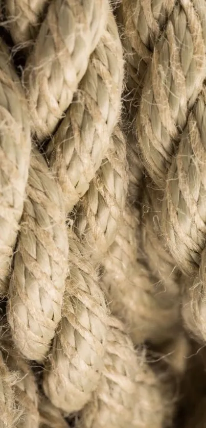 Close-up of beige rope texture on wallpaper.