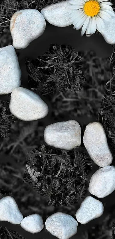 Number three made of white stones with daisy on dark background.