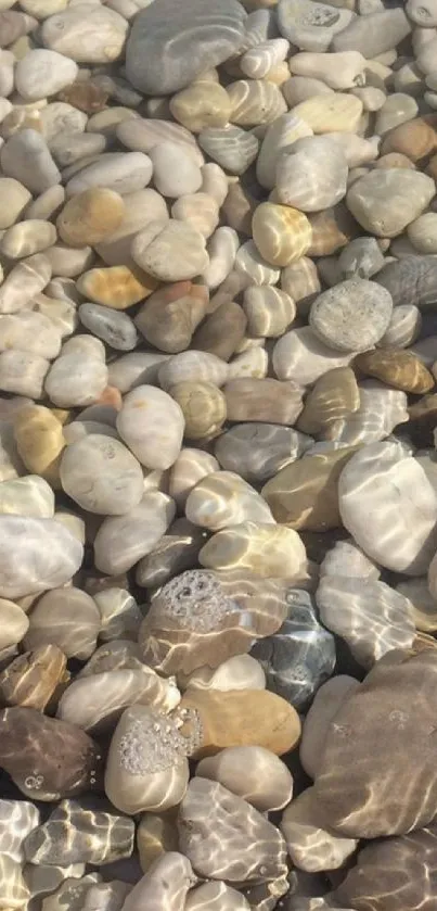 Natural stone pebbles with water reflections.