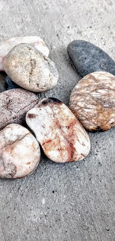 Smooth natural stones on a gray textured surface for serene mobile wallpaper.