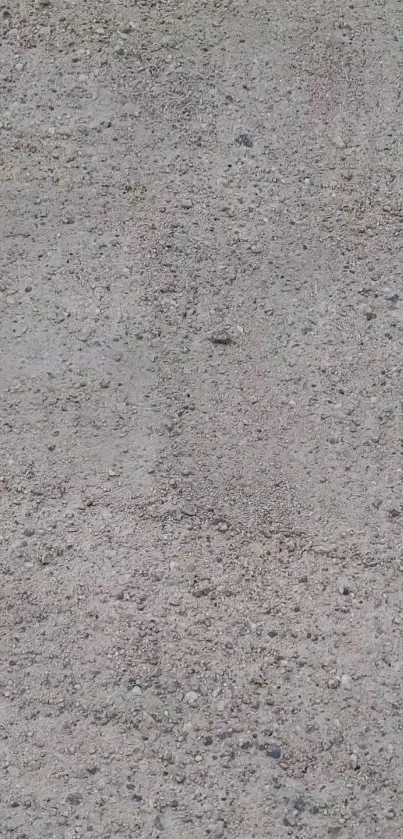 Close-up of a natural stone texture in light gray tones.