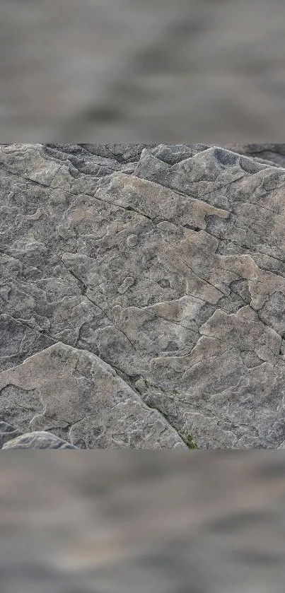 Gray stone texture wallpaper with natural patterns.