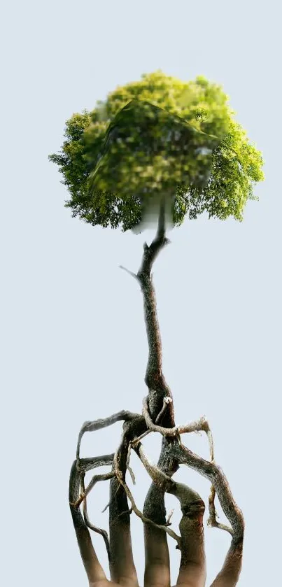 Hand forms tree roots into a lush, green tree against a light blue background.