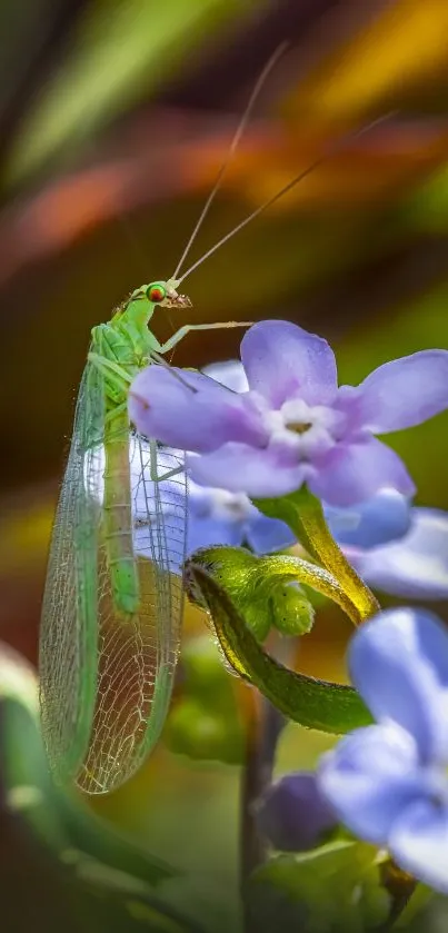 Delicate insect on purple flowers with vibrant green background.