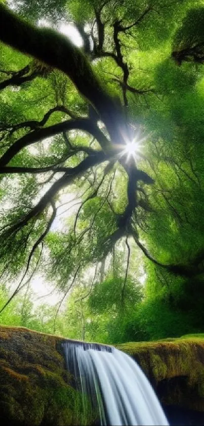 Lush green forest with a waterfall cascading beneath a sunlit canopy.