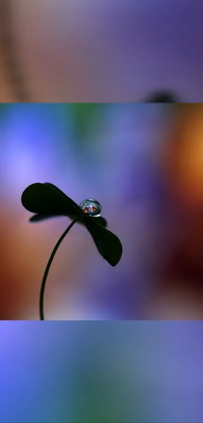 Elegant dew drop balanced on a leaf with vibrant colors in the background.