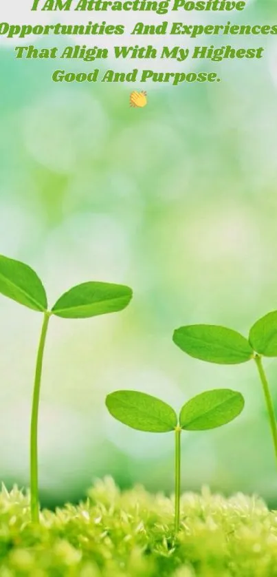 Green seedlings with an inspiring quote on a nature-themed wallpaper.