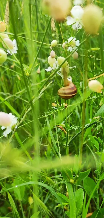 Mobile wallpaper featuring green grass and wildflowers in a serene outdoor setting.