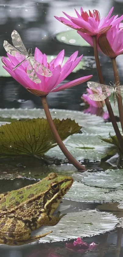 Frog on lily pad with dragonflies and pink water lilies in nature scene.