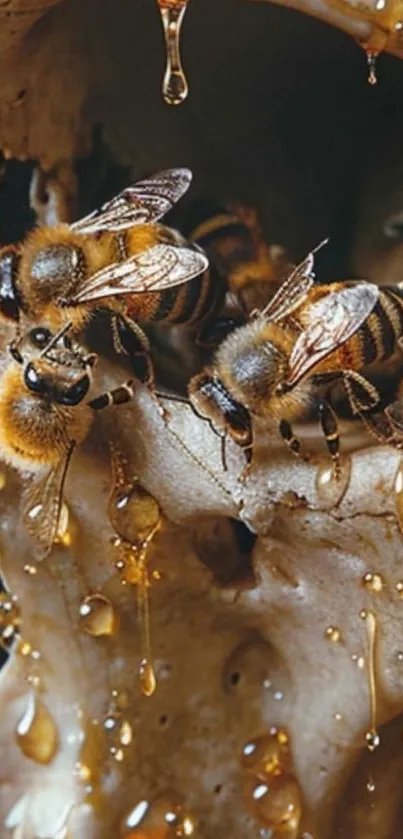 Bees collecting nectar with honey dripping.