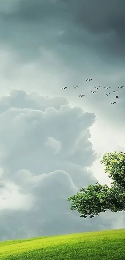 Lone tree in green field with cloudy sky and birds flying.