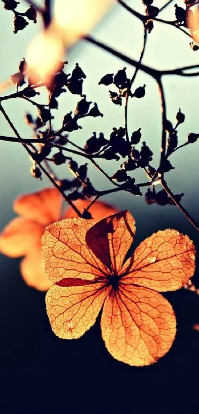 Delicate flower silhouette with warm tones in mobile wallpaper.