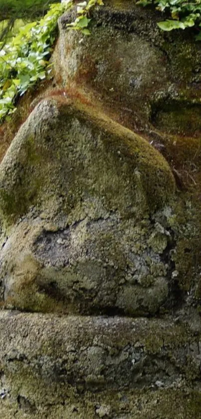 Stone face covered in moss and greenery for a natural mobile wallpaper.