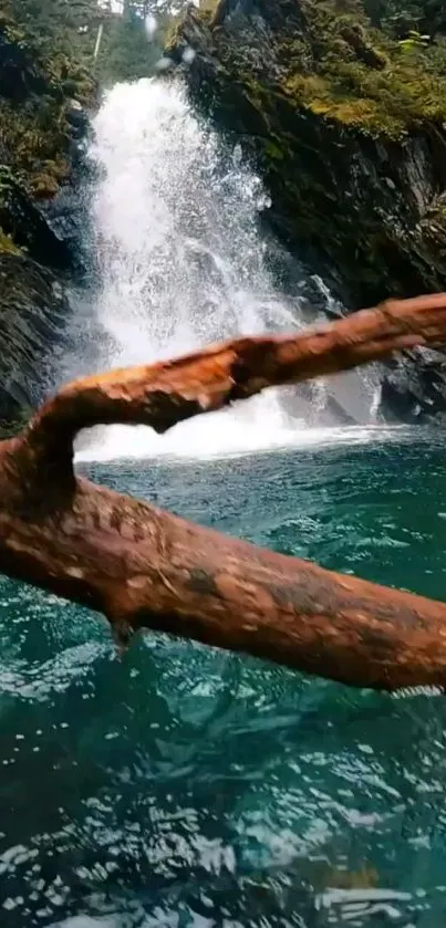 Tranquil waterfall in lush forest setting.