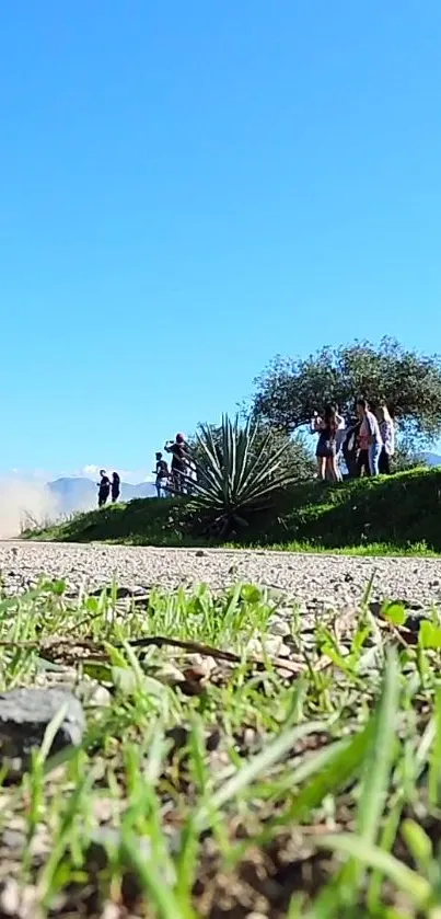 Car driving on dirt road under clear blue sky with greenery around.