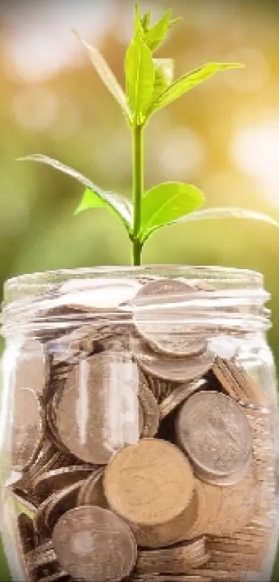 Jar of coins with a growing plant on top, symbolizing financial growth.