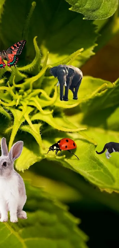 Green leaves with rabbit, elephant, cat, butterfly, and ladybug.