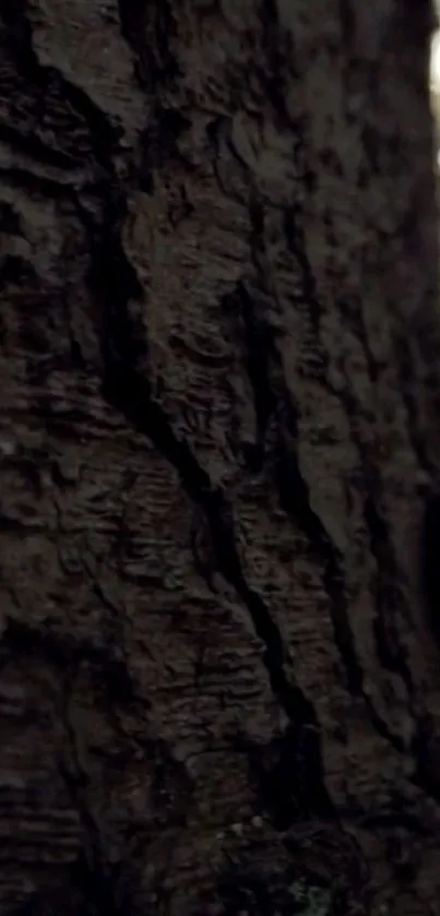 Close-up of dark tree bark texture wallpaper.