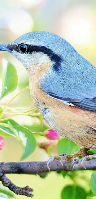 Blue and orange bird perched on a leafy branch with colorful blooms.