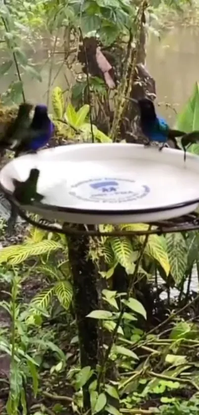 Vibrant tropical birds perched by lush riverside foliage.