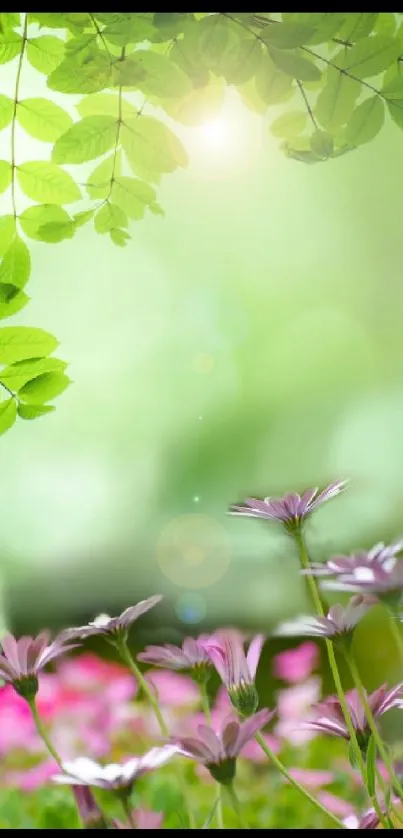 Vibrant floral wallpaper with green leaves and pink blossoms under sunlight.