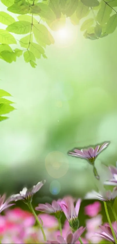 Mobile wallpaper of green leaves and pink flowers in sunlight.