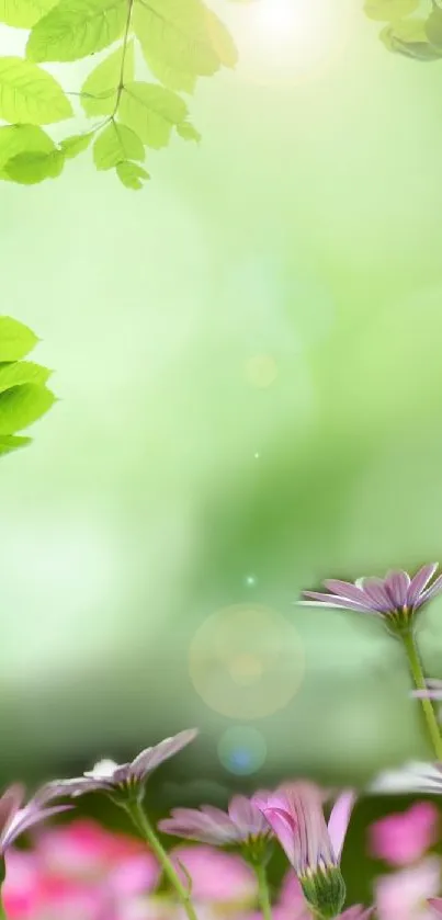 Green leaves and flowers create a serene mobile wallpaper.